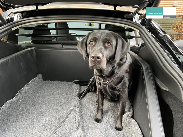 Tesla Model Y Dog Guard - Bagasjeromsdeler